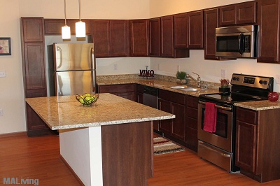 Watermark Lofts - Kitchen with Granite Counters