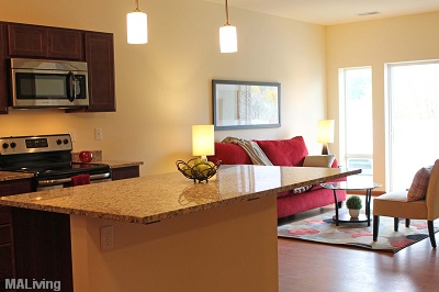 Watermark Lofts - Kitchen / Living Room with Luxury Plank Flooring