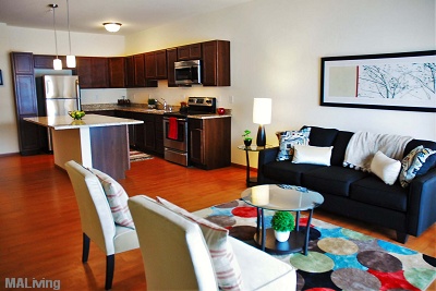 Watermark Lofts - Kitchen / Living Room Offers Open Floor Plan