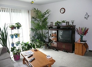 Elka Lane Apartments
