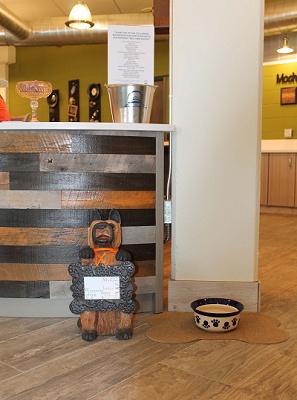 Yahara Terrace - We have No Pet Size or Breed Restrictions
