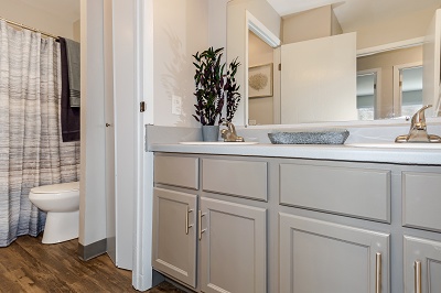 ReNew Madison - Bathroom