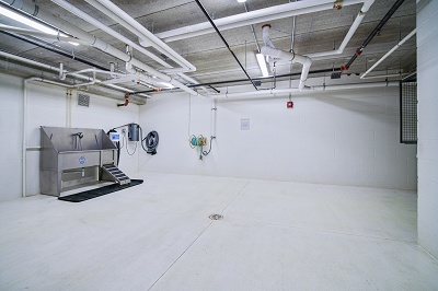 The Reserve at High Point - Dog Wash & Car Wash Area