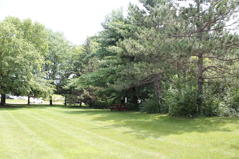 Summit Hill Apartments Madison Apartment Living