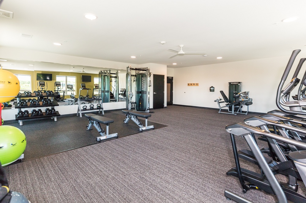 Falcon Apartments Madison Apartment Living